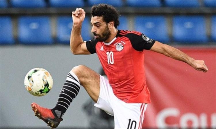 شبكة غانية صلاح أطفىء النجوم السوداء في الإسكندرية