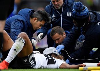 لاعب فولهام يثير الذعر خلال مواجهة كارديف في البريميرليج