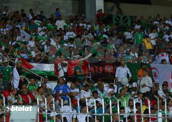 وزير الرياضة يحضر مباراة الجزائر وكينيا في كأس الأمم الإفريقية