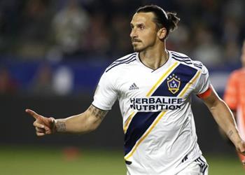 بولونيا الإيطالي تواصلنا مع إبراهيموفيتش والقرار يعود له