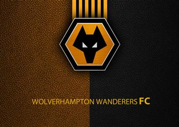 بسبب كورونا وولفرهامبتون يمنع لاعبيه من مصافحة الجماهير