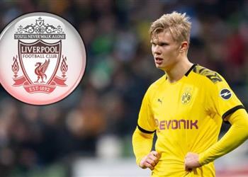 ستيف نيكول هالاند سيكون أفضل مهاجم في العالم ويجب على ليفربول ضمه