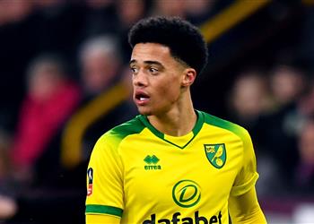 نورويتش يحدد سعر بيع جمال لويس بعد اهتمام ليفربول