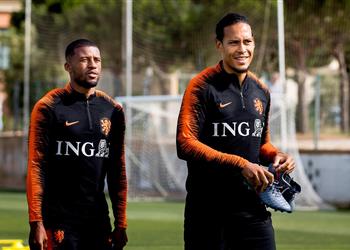 مدرب هولندا تلفظت بكلمات سيئة بعد إصابة فان دايك وفينالدوم خليفته