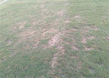 كيف أصبح بتروسبورت سيئ ا لهذه الدرجة