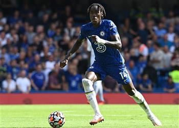 تشيلسي ي خطط لمكافأة تشالوباه ومنحه عقد ا جديد ا