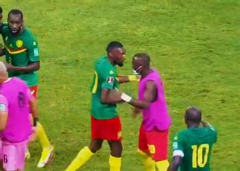 فيديو الكاميرون تتأهل إلى الدور النهائي من تصفيات كأس العالم بفوز صعب على كوت ديفوار