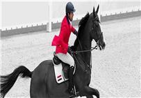 بطولات_أولمبياد كريم الزغبي يتأهل للدور الثالث بالفروسية