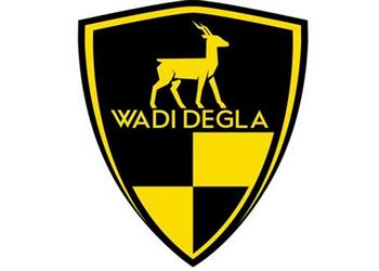 بعد رحيل ميدو دجلة يفكر في التعاقد مع مدرب الأهلي السابق