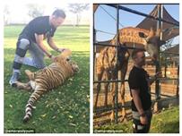 روني يخاطر بحياته مع نمر في دبي