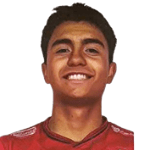 N Villarroel Galindo