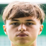 صوره ل Pharell Hensel