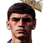 Henrique Simeone Koifman