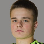 صوره ل K Yankovsky