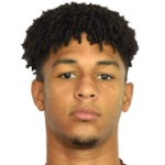 صوره ل V Theresin