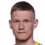 P Pashevich