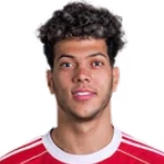 Player Image