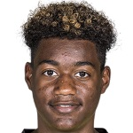 صوره ل Y Roemer