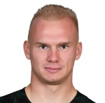 D Kornyushin