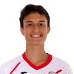 M. Mitrovic