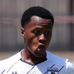 صوره ل Rowan Human