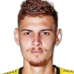 صوره ل Ferrugem