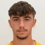 صوره ل V Alfieri