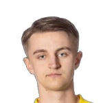 صوره ل M Larsson