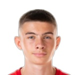N Ajanovi