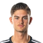 صوره ل Nico van Rijn