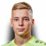 صوره ل D Tikhonov