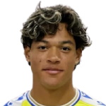 Francis Castillo Orellana