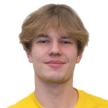 L Nokelainen