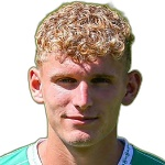 D van Vianen