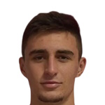 N Manojlov