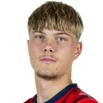 صوره ل N Rothweiler