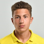 صوره ل P Shevchenko