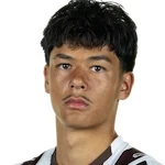 صوره ل N Schmidt