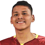 R Huanacota