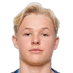 صوره ل H Andersson Mella