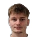 صوره ل B Gibanjek