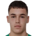 O Vladimirov