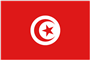 تونس تحت 21 عام