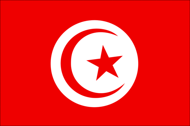 تونس   كرة يد