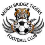 ميناي بريدج تايجرز
