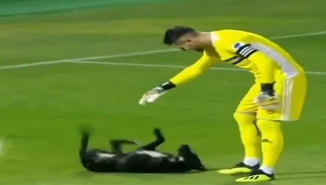 كلب يقتحم مباراة فى الدوري الجورجي ويرفض الخروج