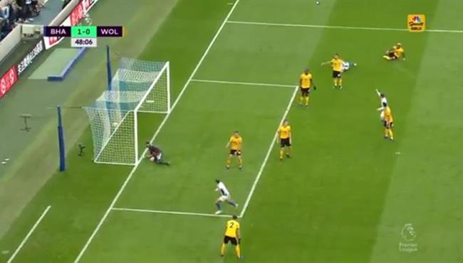 هدف فوز برايتون على ولفرهامبتون 1 0 الدوري الانجليزي