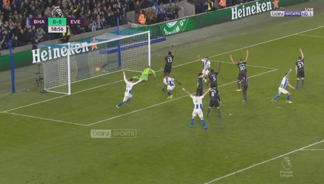 هدف فوز برايتون على ايفرتون 1 0 الدوري الانجليزي