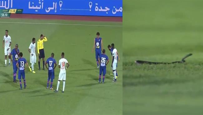 ظهور ثعبان في مباراة الفيحاء وعكاظ بكأس خادم الحرمين