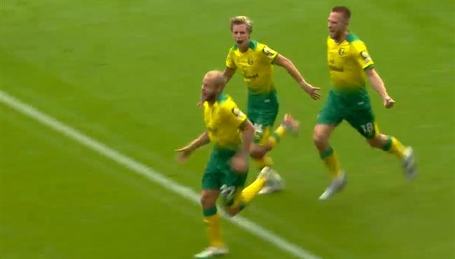 اهداف مباراة نوريتيش سيتي ونيوكاسل 3 1 الدوري الانجليزي